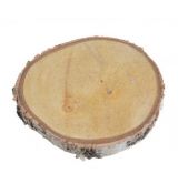 Dřevěný výřez z kulatiny bříza průměr 15 - 16cm