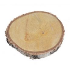 Dřevěný výřez z kulatiny bříza průměr 15 - 16cm