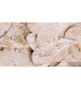 Srdce z březové kůry 9 cm