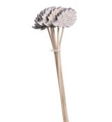 Sada dřevěných podzimních zápichů ježek 6 kusů