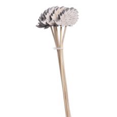 Sada dřevěných podzimních zápichů ježek 6 kusů